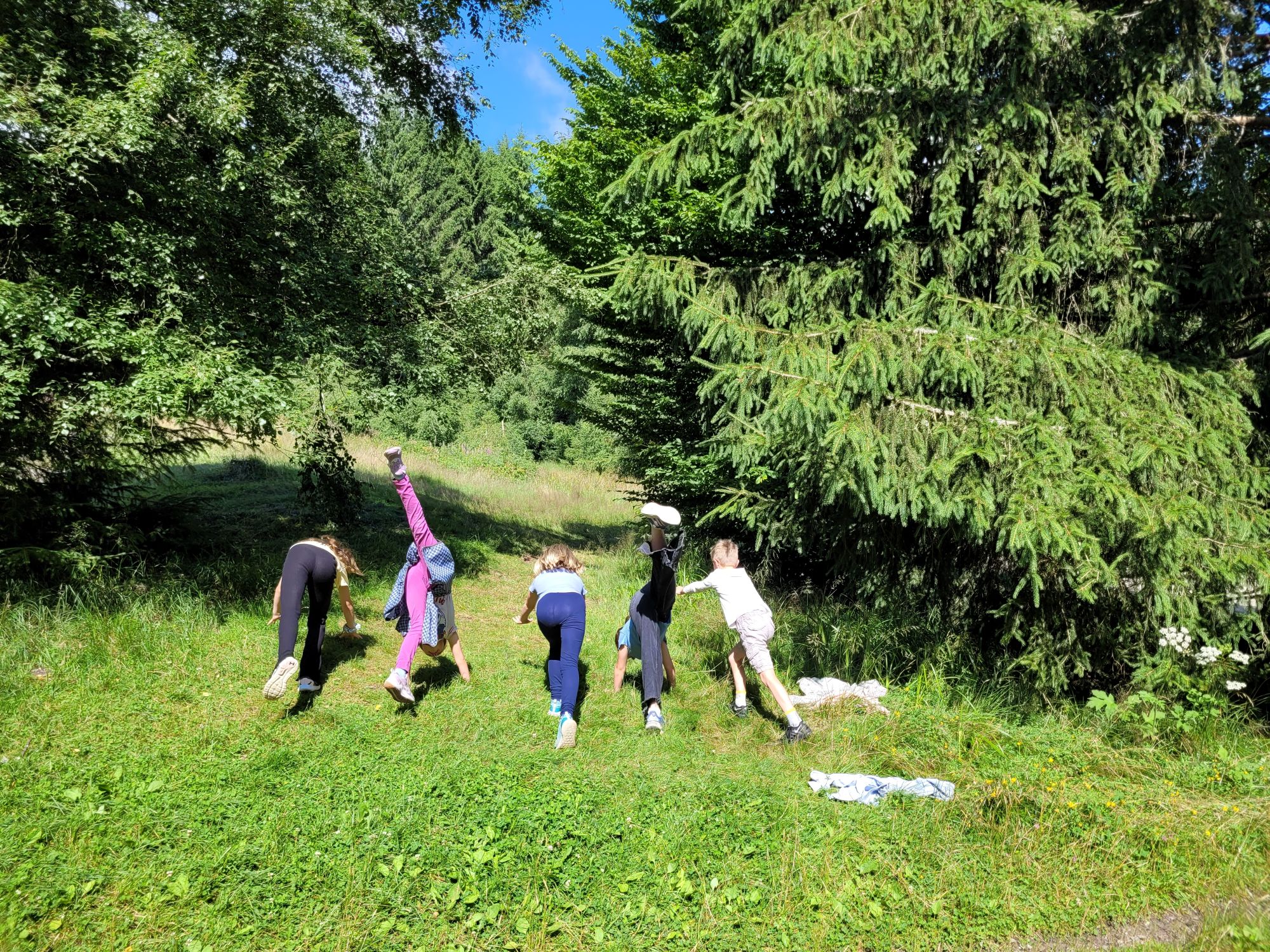 Bild zur News: Landschulheim – Klasse 3c