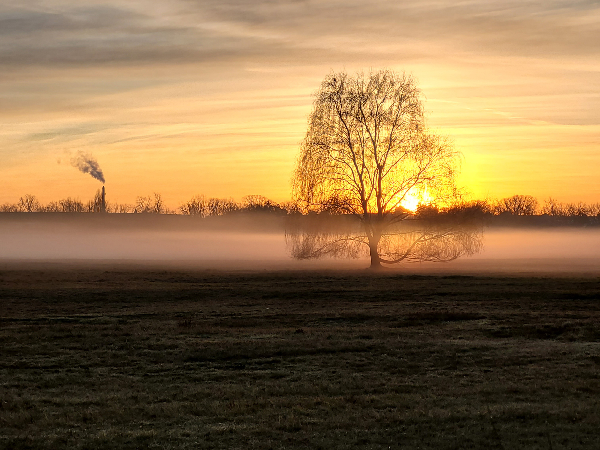 Bild zu Fahrradtraining der Klasse 4c, Bild 1