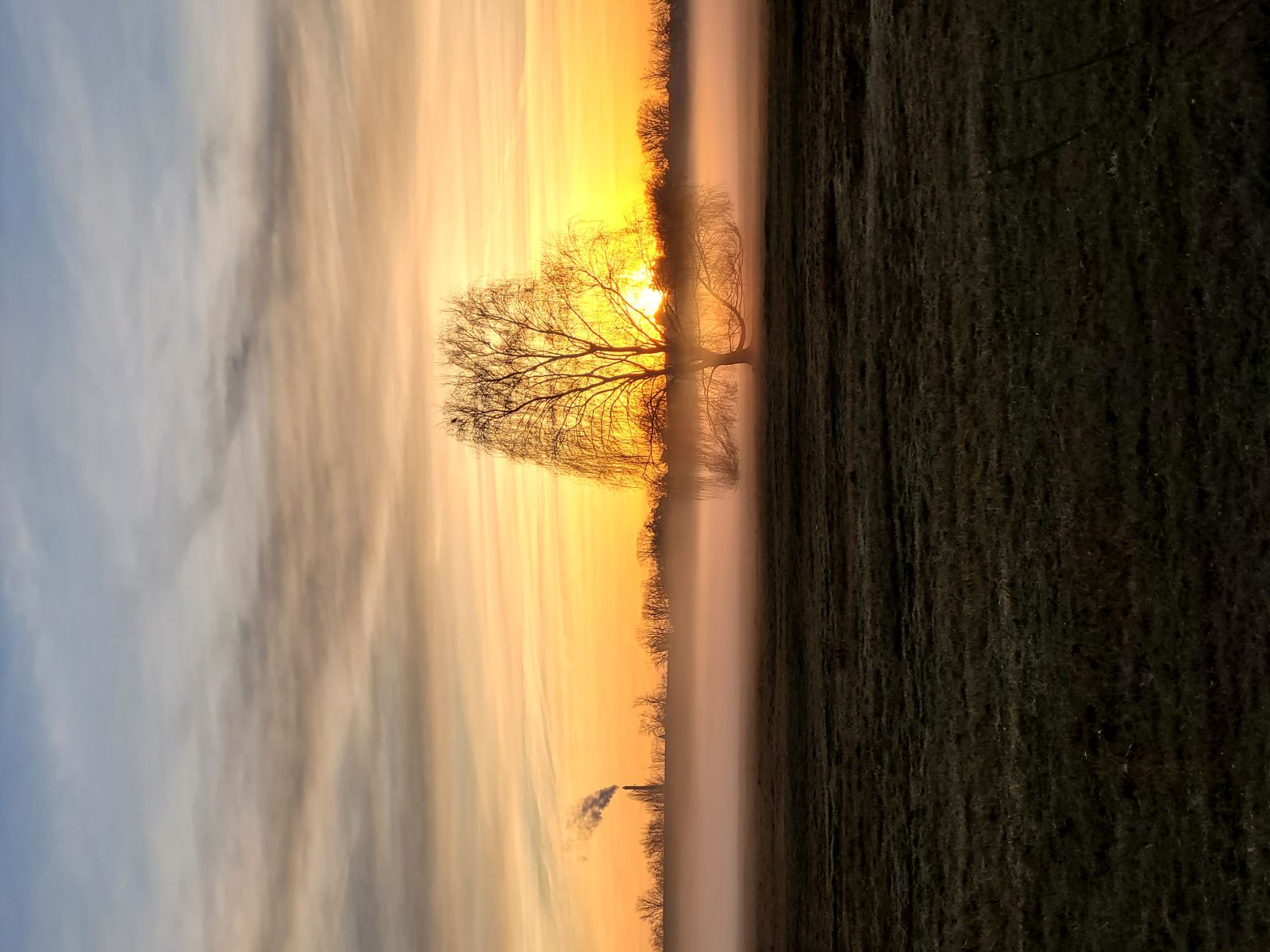 Bild zur News: Fahrradtraining der Klasse 4c