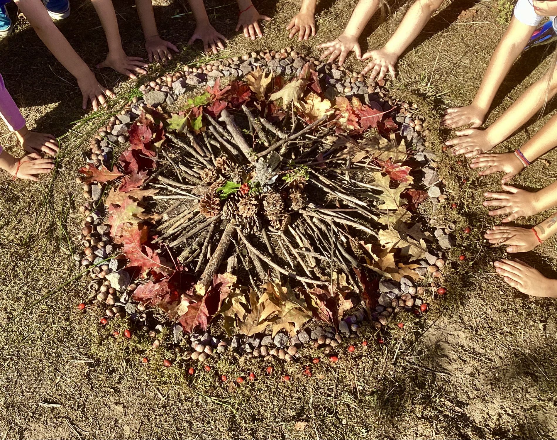 Beitrag: Unser großes Naturmandala